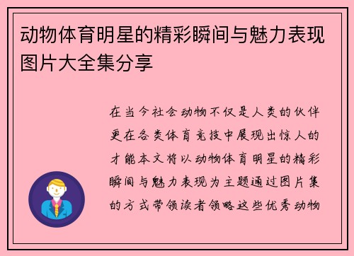 动物体育明星的精彩瞬间与魅力表现图片大全集分享